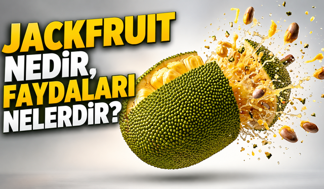 Tropik Meyvelerin Devlerinden Biri! Jackfruit Nedir, Faydaları Nelerdir?