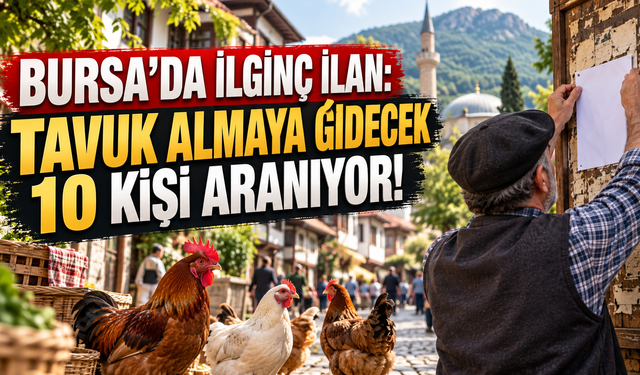BURSA’DA İLGİNÇ İLAN: TAVUK ALMAYA GİDECEK 10 KİŞİ ARANIYOR!
