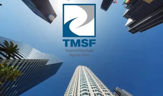 Tasarruf Mevduatı Sigorta Fonu (TMSF) nedir? TMSF ne işe yarar?