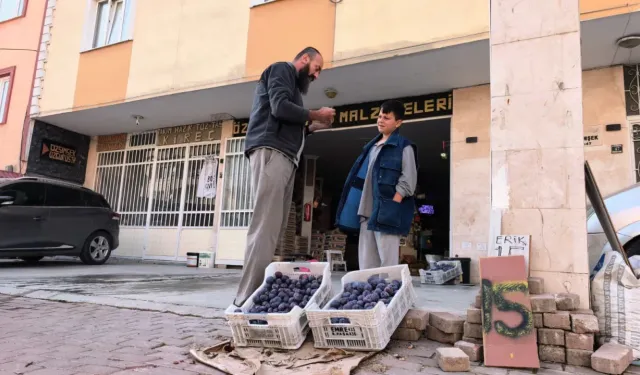 İnegöl’de 10 ton eriği satamayınca sosyal medyaya başvurdu