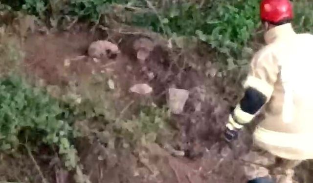 İnegöl’de dereye düşen yavru köpeği itfaiye kurtardı