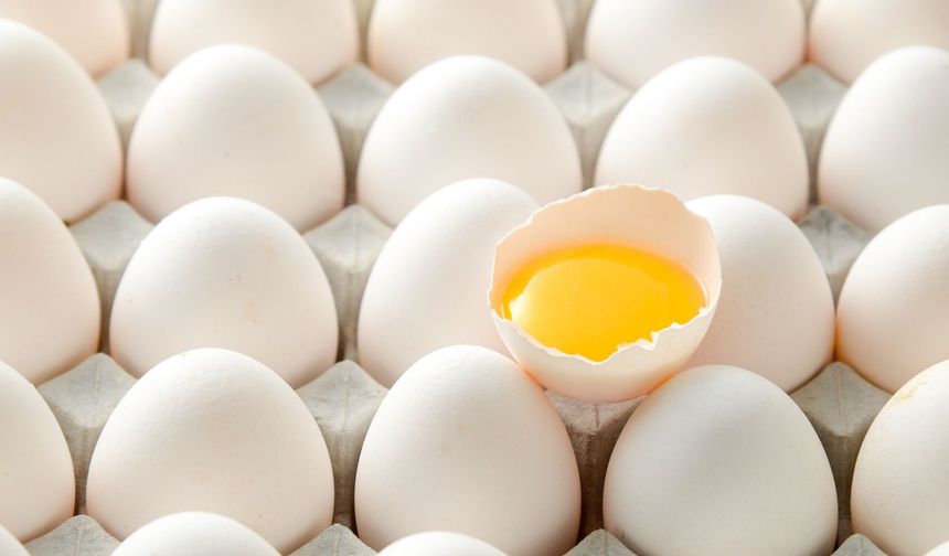 Yumurta Yemek Zararlı mı? Nasıl Zarar Verdiğini Öğrenen Bir Daha Yemeyecek