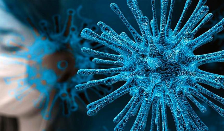 Bilim İnsanları Açıkladı: Koronavirüs Aşıları Kalp Hastalıklarını Tetiklemiyor