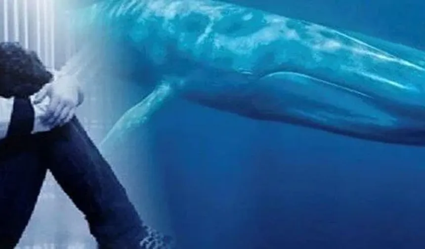 Mavi balina 1 can daha aldı: 22 yaşındaki genç intihar etti