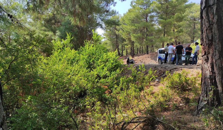 Ormanda terk edilmiş bebek bulundu, peki bebek yaşıyor mu?