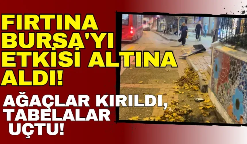 Fırtına Bursa'yı Etkisi Altına Aldı! Ağaçlar Kırıldı, Tabelalar Uçtu!