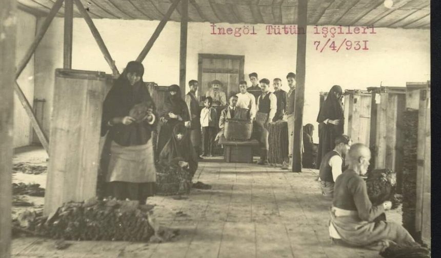 İnegöl’ün Meşhur Tütün Yaprağı | İnegöl Maziden Bir Kare