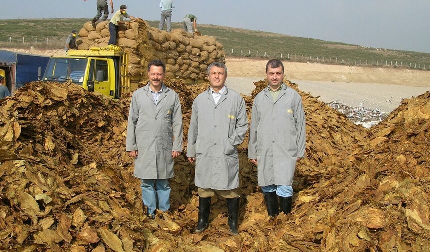 İnegöl’de tütün üretimi durduruldu | Maziden Bir Kare
