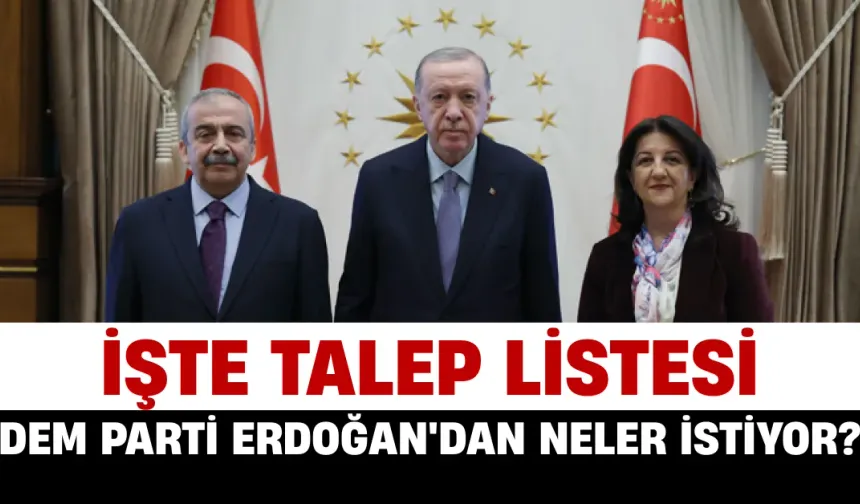 DEM Parti Erdoğan'dan Neler İstiyor? İşte Talep Listesi...