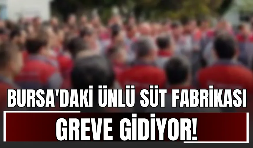 Bursa'daki ünlü süt fabrikası greve gidiyor