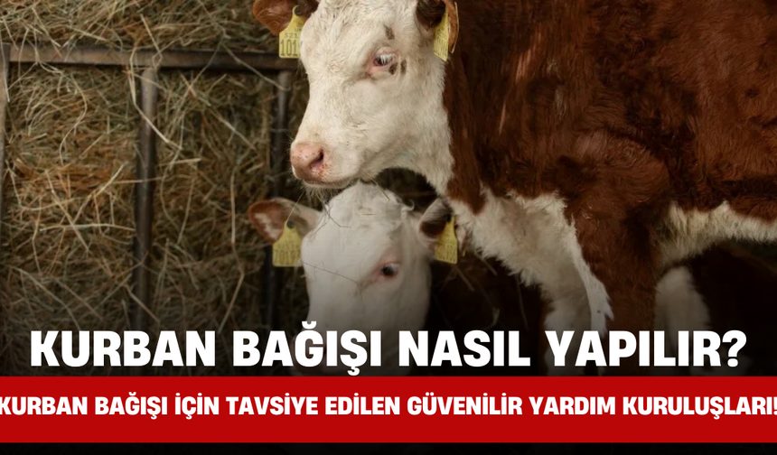 Kurban Bağışı Nasıl Yapılır? Kurban Bağışı için tavsiye edilen güvenilir yardım kuruluşları!