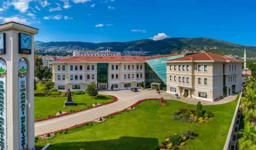 Osmangazi Belediyesi'nden Hamitler Barınağındaki Katliamla İlgili Açıklama Geldi