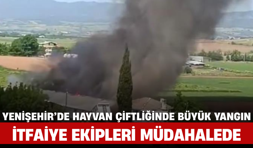 Yenişehir’de Hayvan Çiftliğinde Büyük Yangın, İtfaiye Ekipleri Müdahalede