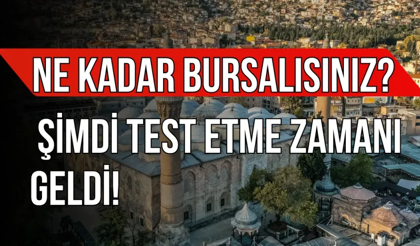 Ne Kadar Bursalısınız? Şimdi Test Etme Zamanı Geldi!