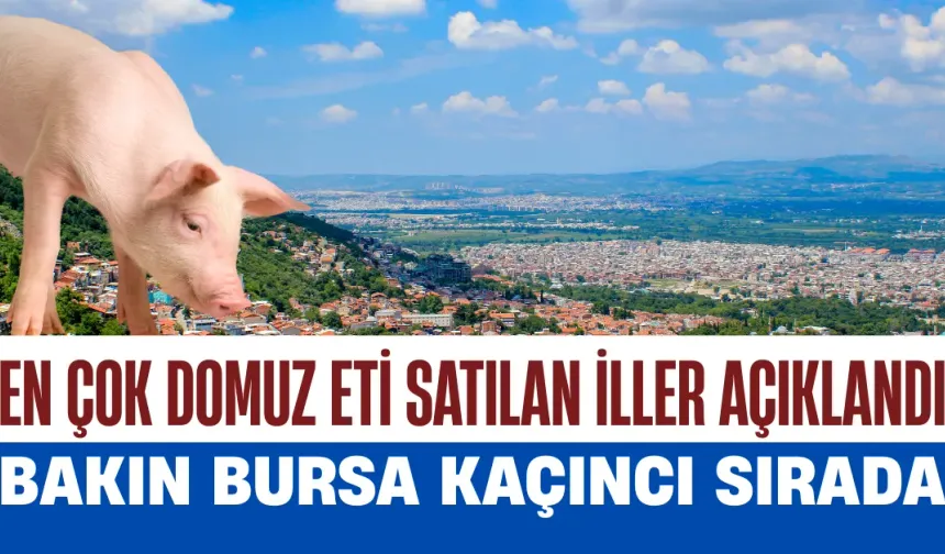 Türkiye’de En Çok Domuz Eti Satılan İller Açıklandı: Bakın Bursa Kaçıncı Sırada...
