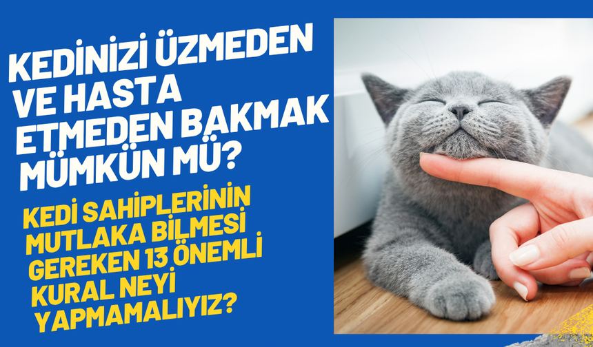 Kedinizi Üzmeden ve Hasta Etmeden Bakmak Mümkün mü? Kedi Sahiplerinin Mutlaka Bilmesi Gereken 13 Önemli Kural