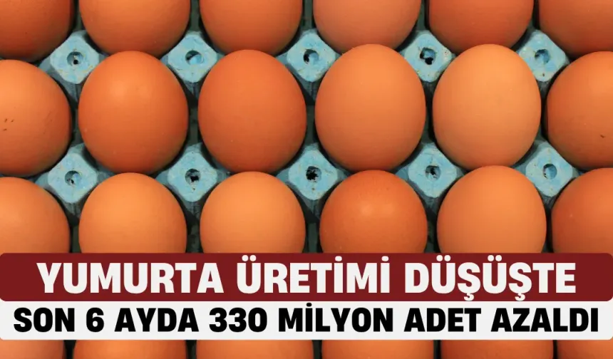 Yumurta Üretimi Düşüşte: TÜİK Verilerine Göre Son 6 Ayda 330 Milyon Adet Azalma