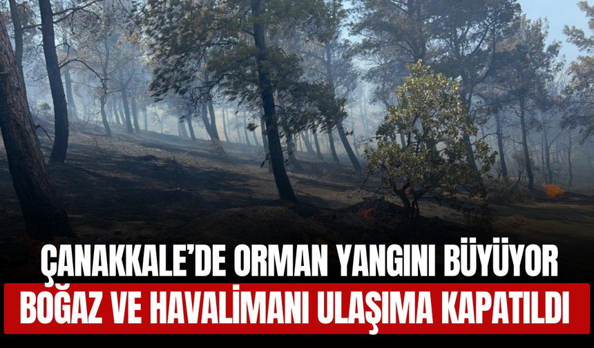 Çanakkale’de Orman Yangını Büyüyor! Boğaz ve Havalimanı Ulaşıma Kapatıldı