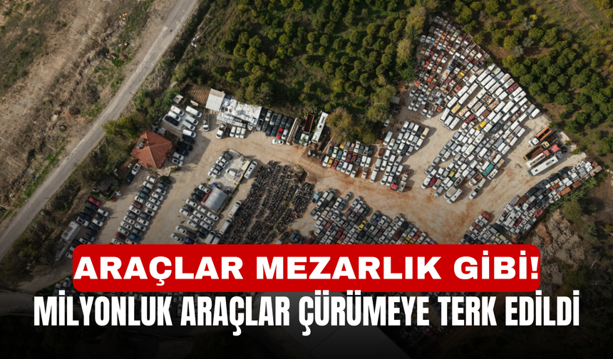 Araçlar Mezarlık Gibi! Milyonluk araçlar çürümeye terk edildi