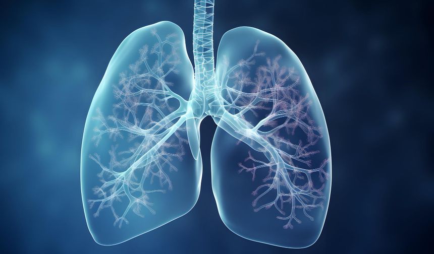 12 Kasım Ne Günü? 12 Kasım Dünyada ve Türkiye’de Ne Günü? 12 Kasım Günü Ne Burcu?