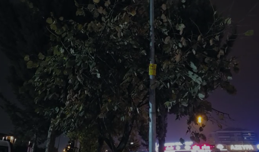 İnegöl’de gece yarısı kuş sesi merak uyandırdı