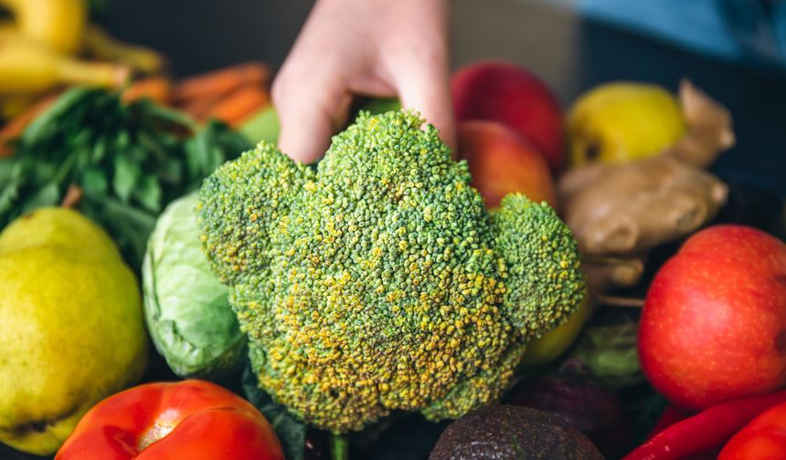 GDO nedir ? GDO'lu ürünler nasıl anlaşılır? Hangi ürünler GDO'lu?