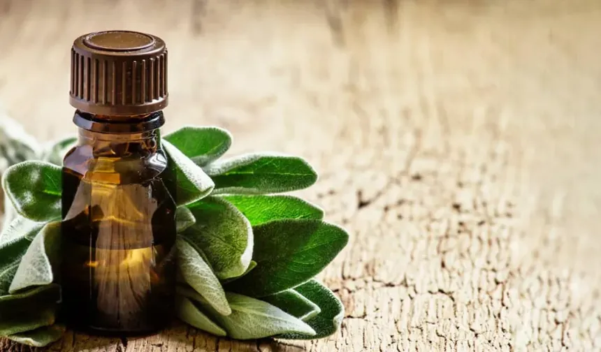 Nioli Yağı Nedir? Doğadan Gelen Bu Güçlü Yağ Gerçekten Nelere İyi Geliyor Mu?