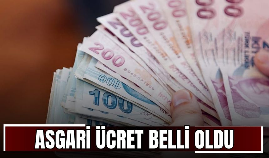 2026 Asgari Ücret Belli Oldu