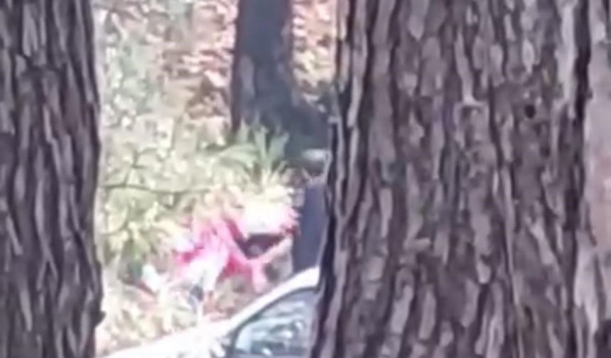 İzmir Buca’da ormanlık alanda kadına şiddet! Şüpheli yakalandı