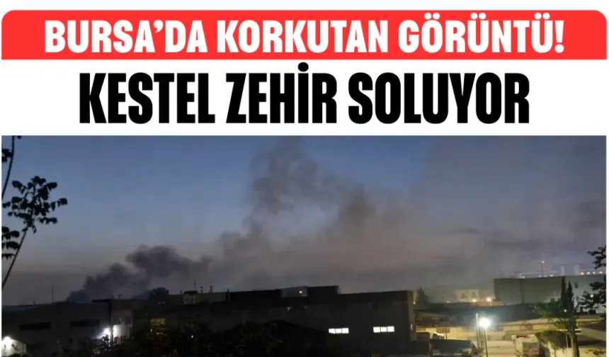 Bursa’da Korkutan Görüntü! Kestel Zehir Soluyor