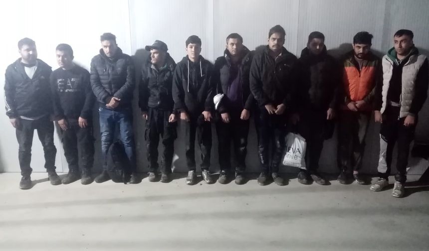 Edirne'de 20 kaçak göçmen sınırda yakalandı