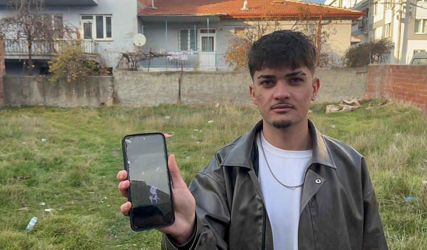 Eskişehir'de boş arsada 8 ölü kedi bulundu