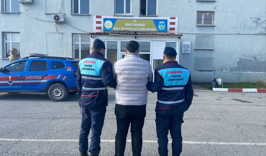 Muş’ta Dolandırıcılık Suçundan Aranan Hükümlü Operasyonla Yakalandı