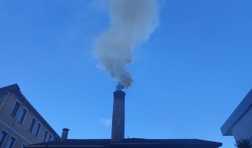 Rize'de baca yangını paniğe neden oldu