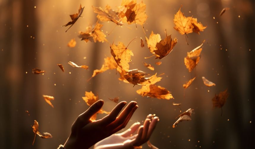 Rüyada Hayız Olmak Ne Demek? Rüyada Hayız Görmek Ne Anlama Gelir? Dini Rüya Tabirleri