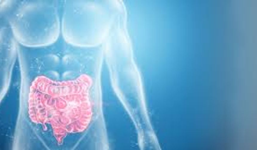 Kabızlık Günlük Hayatı Zorlaştırıyor: Bağırsaklar Neden Yavaşlıyor, Bu Sorun Nasıl Kolayca Çözülüyor?