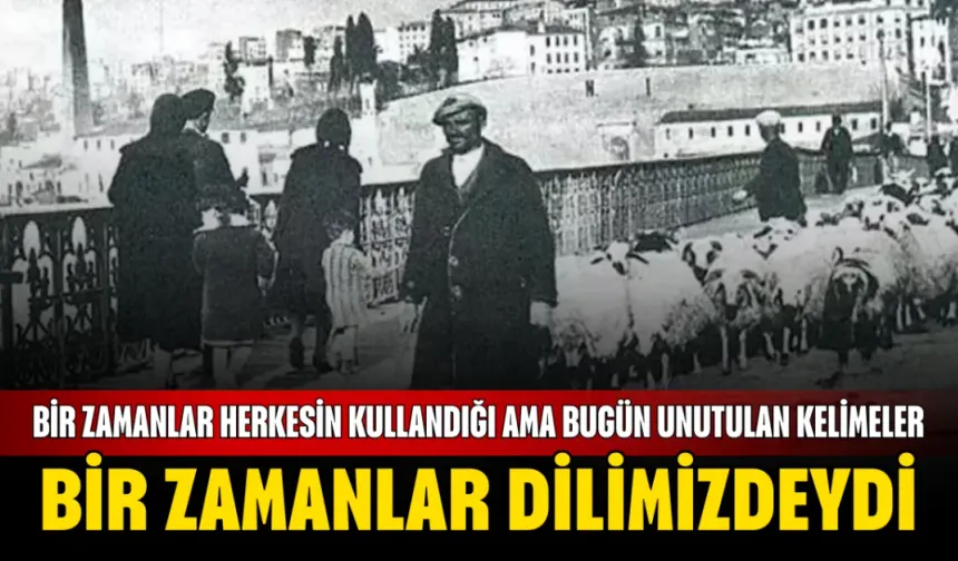 Bir Zamanlar Dilimizdeydi: Bir Zamanlar Herkesin Kullandığı Ama Bugün Unutulan Kelimeler