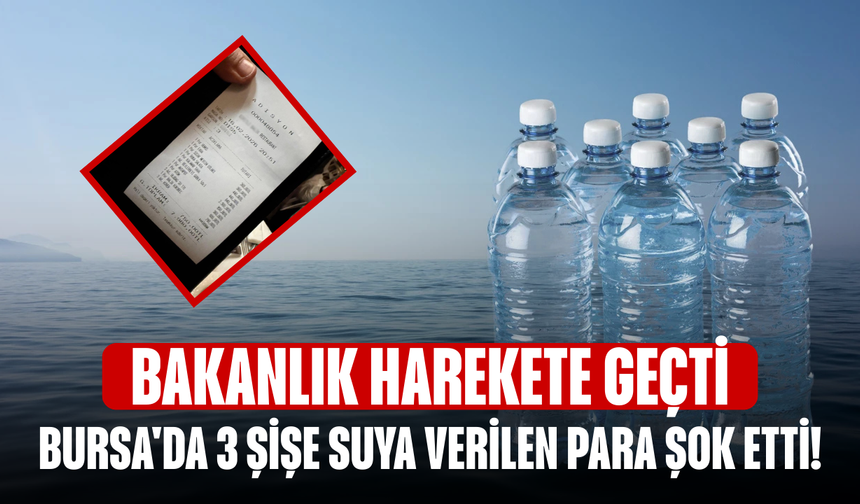 Bursa'da 3 şişe suya verilen para şok etti! Bakanlık harekete geçti