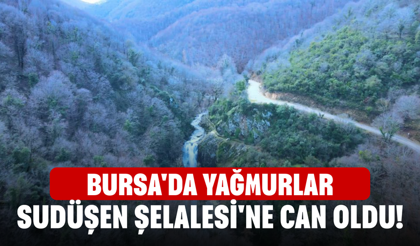 Bursa'da yağmurlar Sudüşen Şelalesi'ne can oldu!