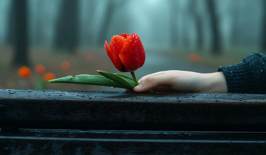 Kendinizi Rahatsız Etme Günü | 25 Şubat Ne Günü? 25 Şubat Dünyada ve Türkiye’de Ne Günü? 25 Şubat Ne Burcu?