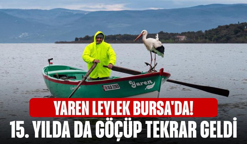 Yaren Leylek Bursa'da! 15. yılda da göçüp tekrar geldi