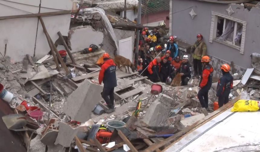 Çöken binada enkaz altında kalanları kurtarma çalışmasına köpeklerde katıldı