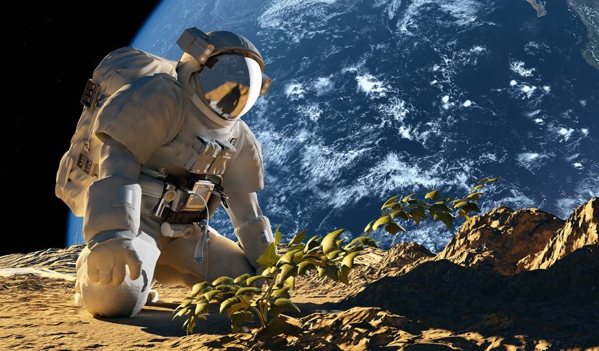 Ay’da Tarım Gerçek Olabilir Mi? Bilim İnsanları Patatesle Uzayda Gıda Üretimi İçin Umut Verici Sonuçlar Elde Etti