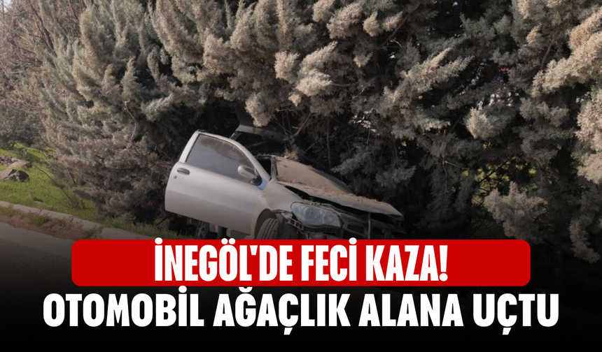 İnegöl'de feci kaza! Otomobil ağaçlık alana uçtu
