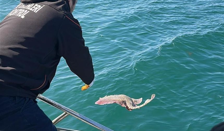 Marmara Denizi’nde kullanılan kaçak av aracı yakalandı