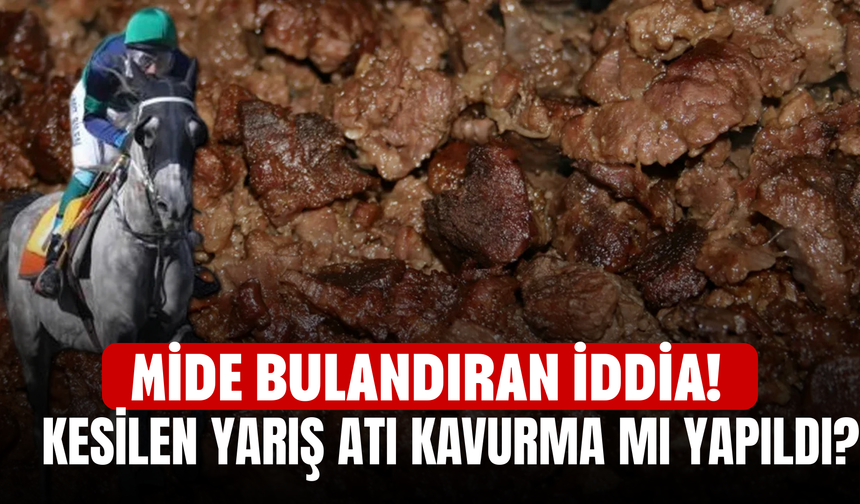 Mide bulandıran iddia! Kesilen yarış atı kavurma mı yapıldı?