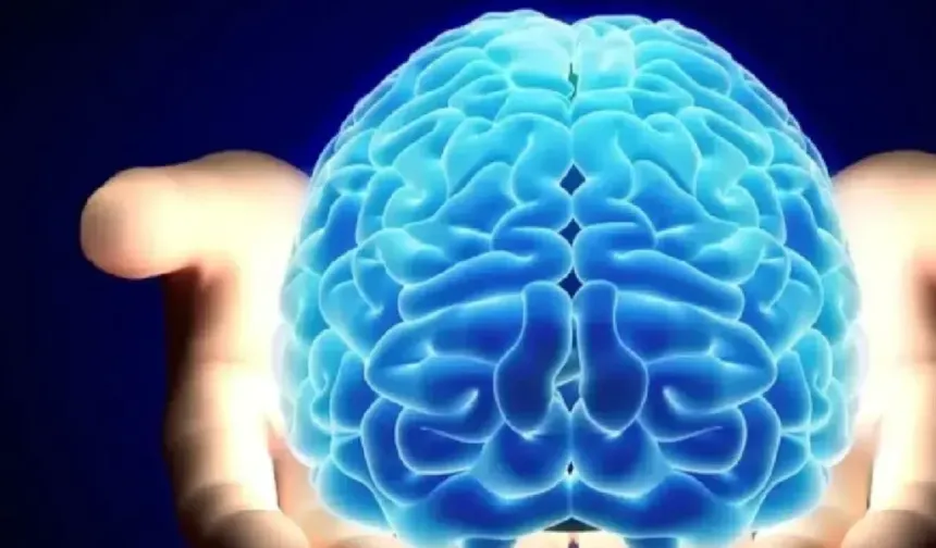 Nörobilim Uzmanı Anlattı! Beyni Genç Ve Sağlıklı Tutmanın 6 Basit Yolu