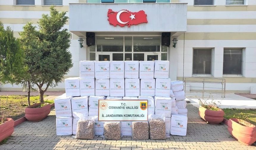 Osmaniye'de jandarma bir haftada 109 şüpheliyi yakaladı