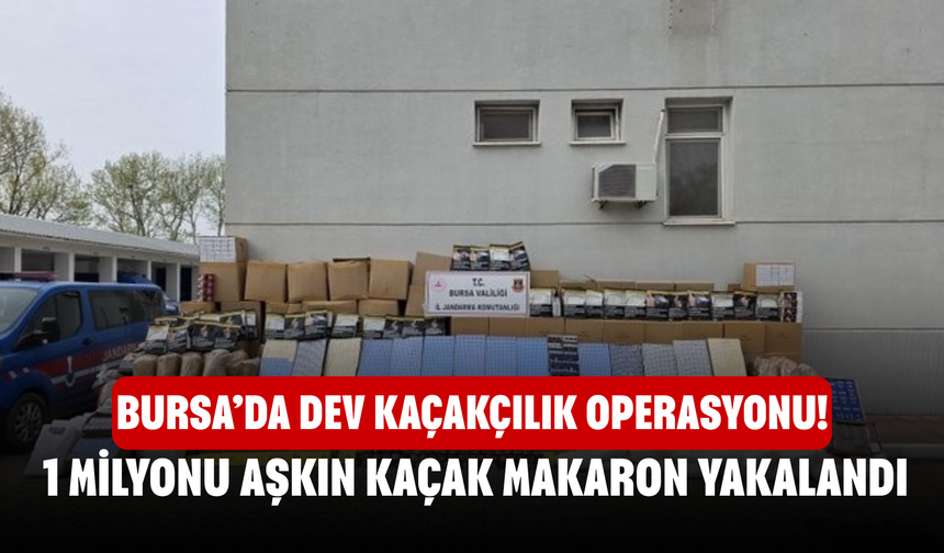 Bursa’da Dev Kaçakçılık Operasyonu! 1 Milyonu Aşkın Kaçak Makaron Yakalandı