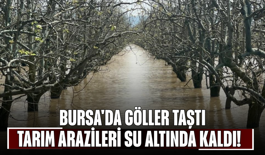 Bursa'da Göller Taştı, Tarım Arazileri Su Altında Kaldı! Baraj Kapaklarının Açılması Gündemde